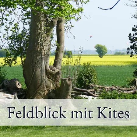 Hirschfeld Hus 9168ii - *